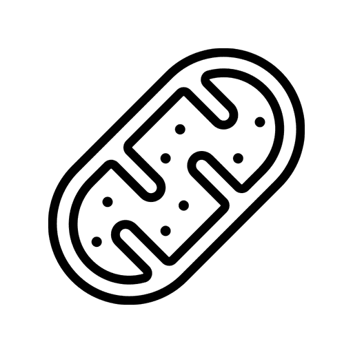 Infroidthérapie Genève Suisse - icone